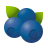 blueberry